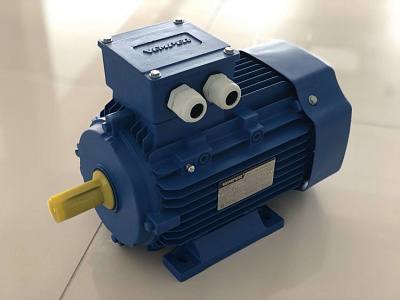 Электродвигатель 5АИ 90 L2 3/3000 IM 1081