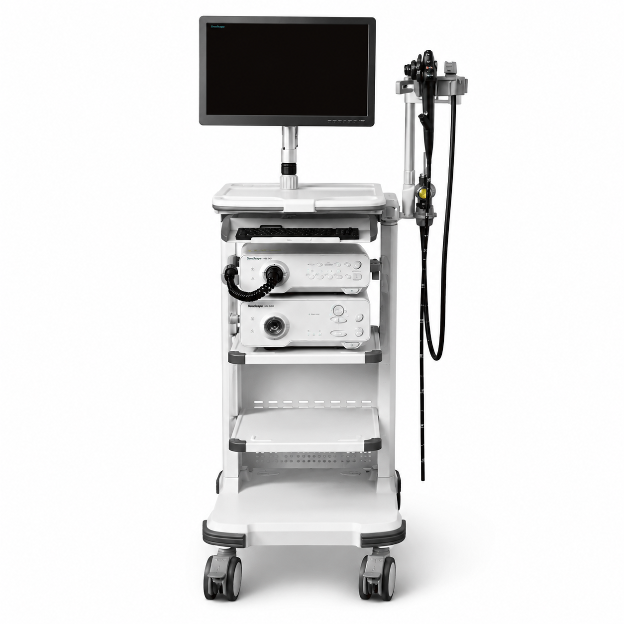Видеоэндоскопическая система HD-350 (SonoScape Medical Corp.) — SonoScape купить в Казахстане
